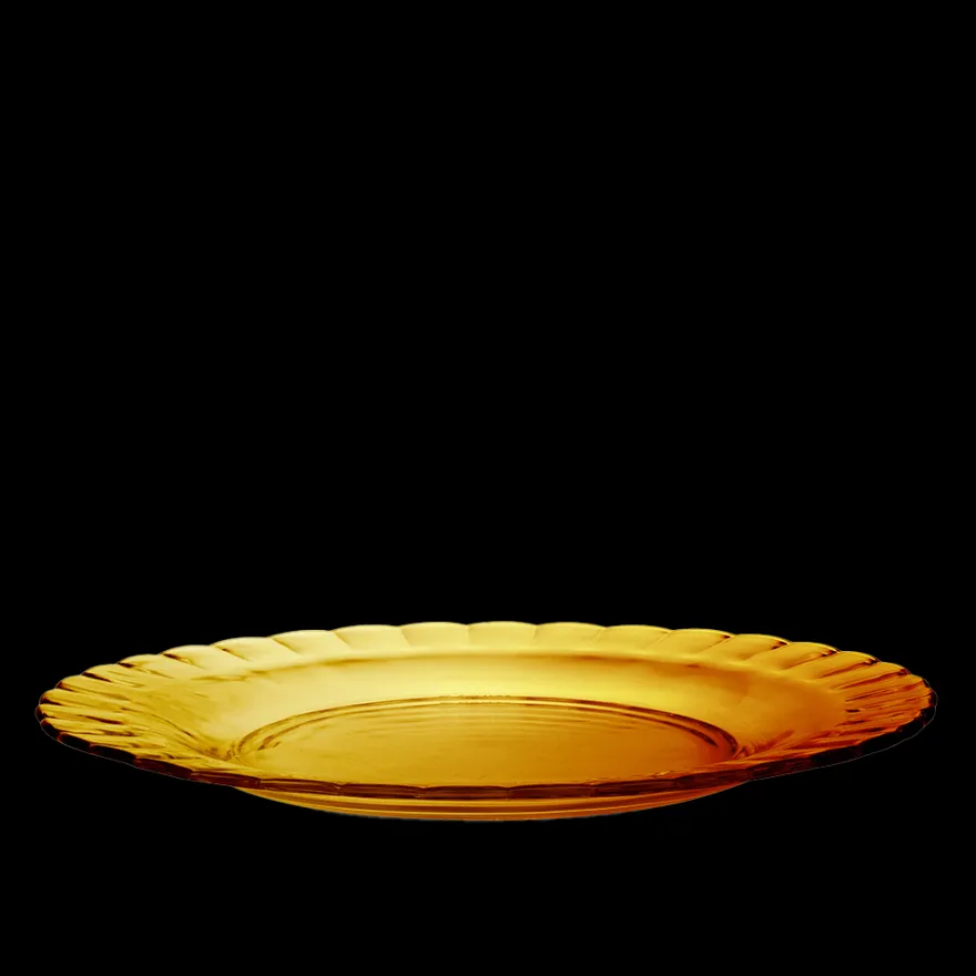 Hot Picardie - Assiettes x6 - 26cm - Vermeil Professionnels De La Restauration|Assiettes
